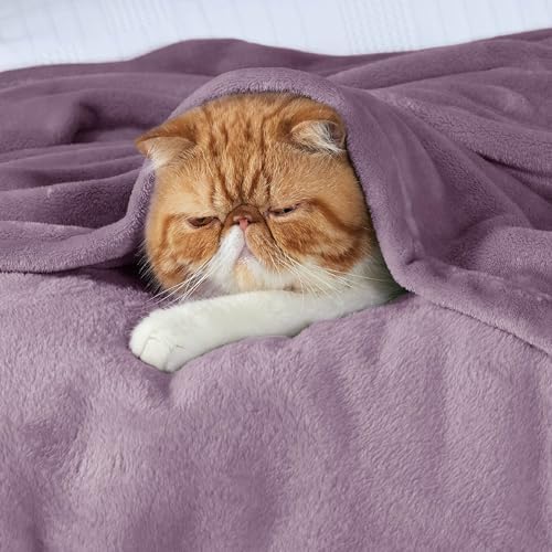 Bedsure GentleSoft Fleece Bed Blankets Queen Size Lavender - Image 3