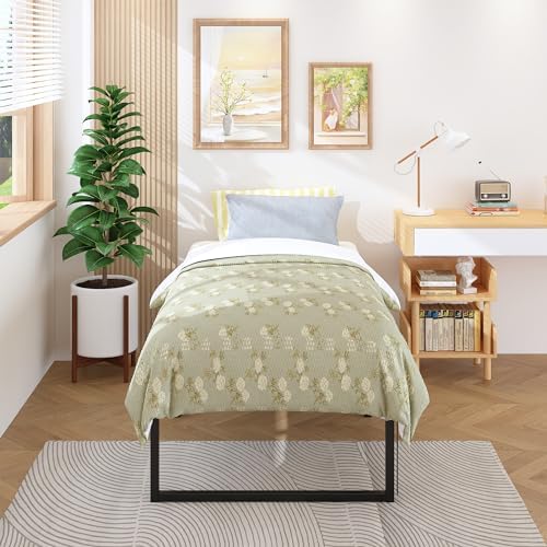 Lutown-Teen 18 Inch Twin XL Bed Frames - Image 5