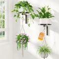 LASZOLA Plant Hanger Holder Wall Indoor by LASZOLA