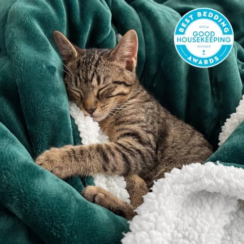 Bedsure GentleSoft Sherpa Fleece Throw Blanket - Image 2