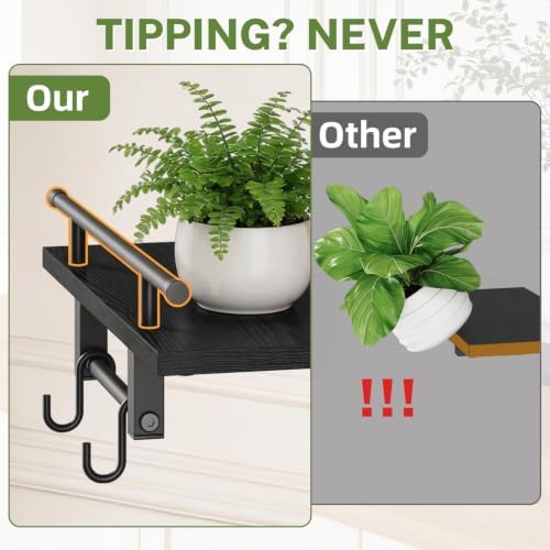 iDavosic.ly Wall Plant Holder Set of 2, 2 Tier Indoor Display Shelf - Image 4