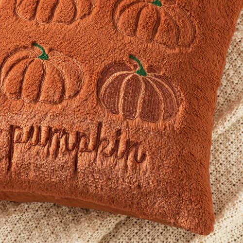MIULEE Fall Pumpkin Pillow Covers 20x20 Rust Fall Decor - Image 2