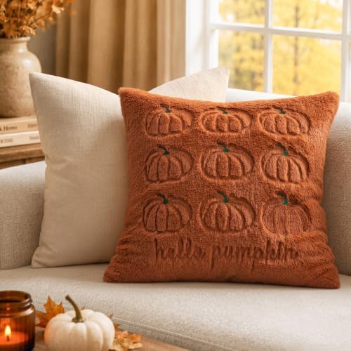 MIULEE Fall Pumpkin Pillow Covers 20x20 Rust Fall Decor - Image 3