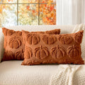MIULEE Fall Pillow Covers Pumpkin Fall Decor Lumbar 12x20 Dark Rust by MIULEE