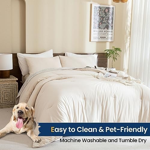 Paxrac Beige Comforter Set Twin/Twin XL Size, Cream 2 Pieces Extra Long - Image 6