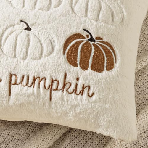 MIULEE Fall Pumpkin Pillow Covers 18x18 Cream White Fall Decor - Image 2