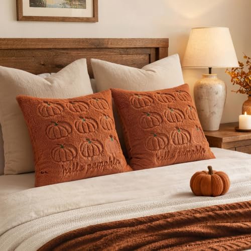 MIULEE Fall Pumpkin Pillow Covers 20x20 Rust Fall Decor - Image 5