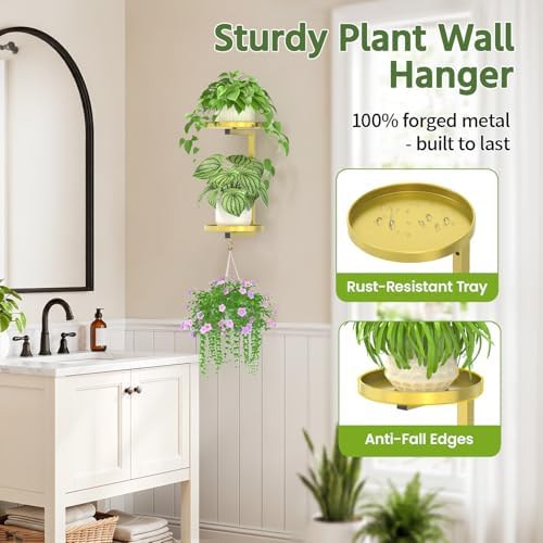 LASZOLA Plant Hanger Holder Window Shelf Wall Mounted Indoor - Image 4