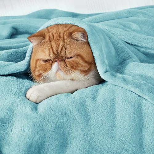 Bedsure GentleSoft Fleece Throw Blanket - Image 3