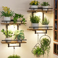 iDavosic.ly Wall Plant Holder by iDavosicly