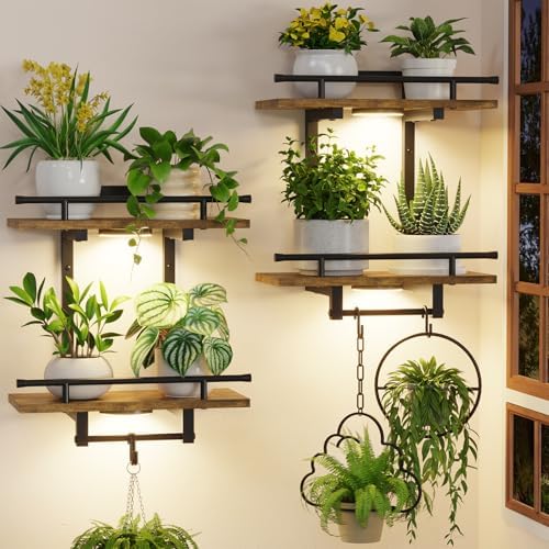 iDavosic.ly Wall Plant Holder by iDavosicly