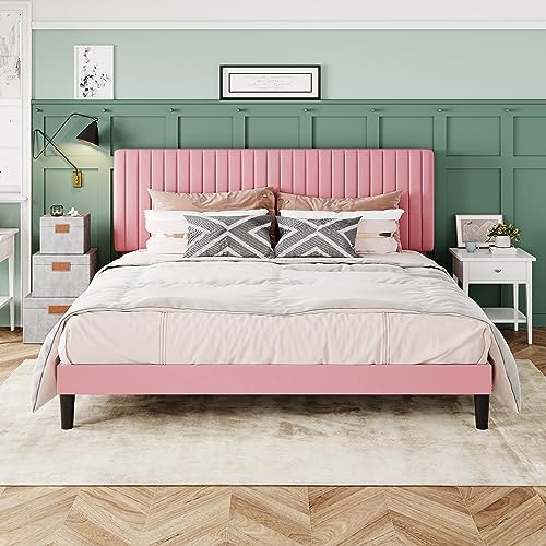 Allewie King Bed Frame, Velvet Upholstered Platform Bed by Allewie