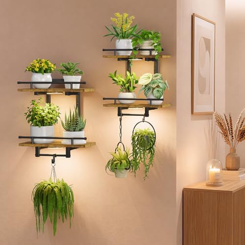 iDavosic.ly Wall Plant Holder - Image 7