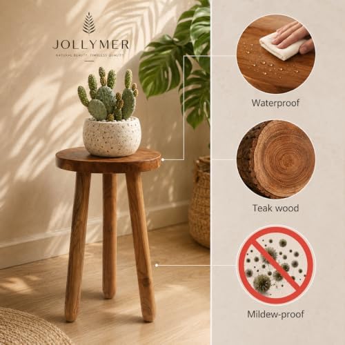 Teak Wood Plant Stand, Wood Accent Table - Image 4