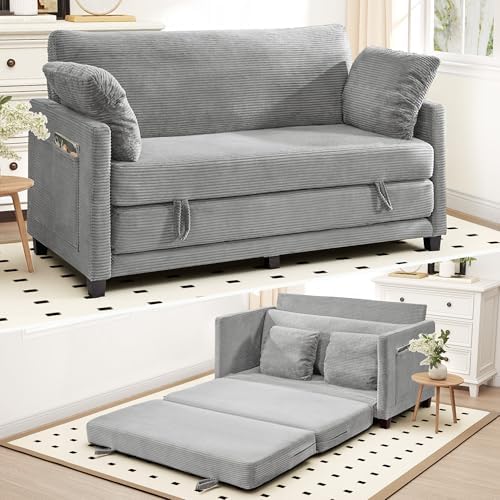 65" Convertible Loveseat Sofa Bed, 2-in-1 Folding Sofa Bed by Myroyalsit