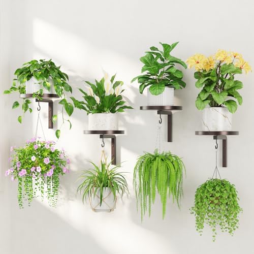 LASZOLA 4Pcs Wall Mount Plant Shelves by LASZOLA
