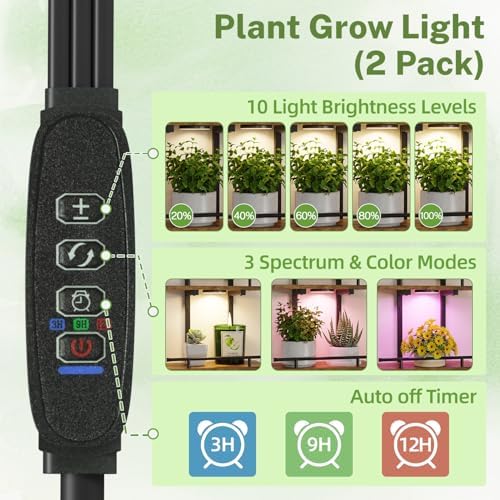 iDavosic.ly Wall Plant Holder - Image 3