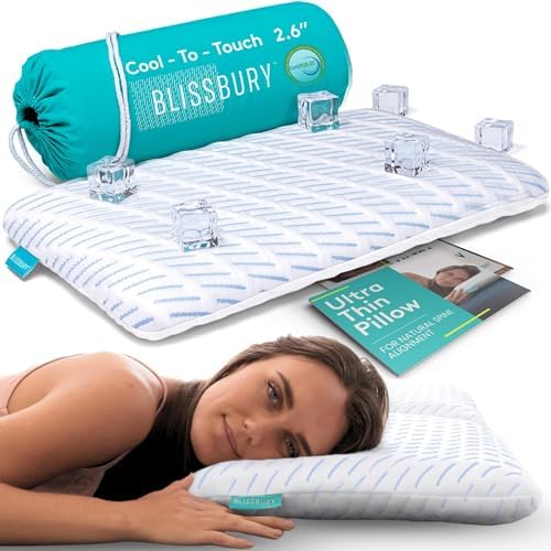 BLISSBURY Cooling Stomach Sleeper Pillow, Thin Memory Foam, 2.6 Inch by Blissbury