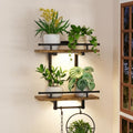 iDavosic.ly Wall Plant Holder by iDavosicly