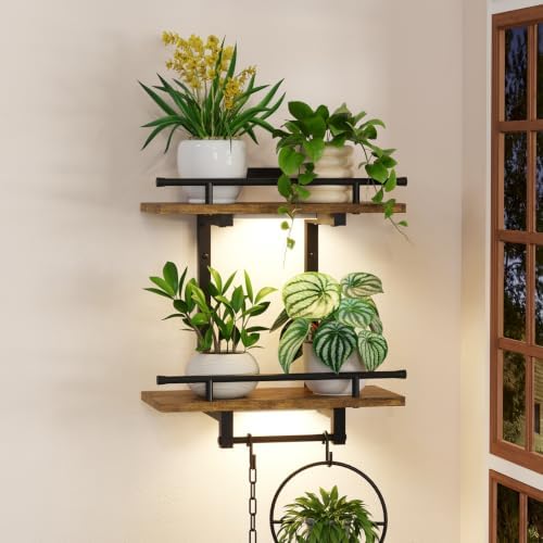 iDavosic.ly Wall Plant Holder by iDavosicly