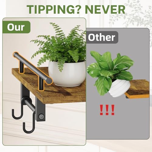 iDavosic.ly Wall Plant Holder - Image 4