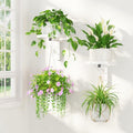 LASZOLA Plant Hanger Holder Window Shelf Wall Mounted Indoor by LASZOLA