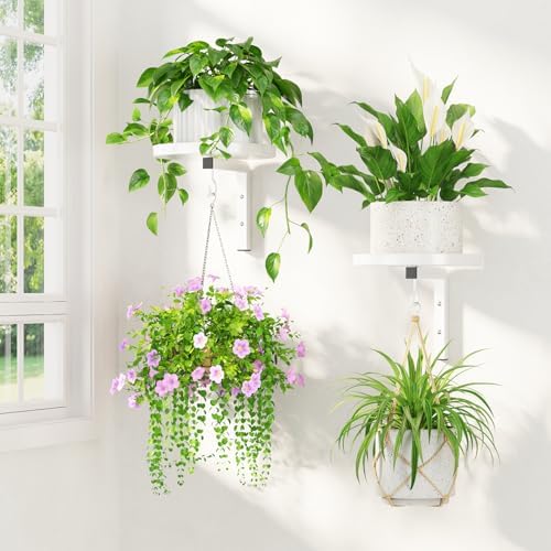 LASZOLA Plant Hanger Holder Window Shelf Wall Mounted Indoor by LASZOLA