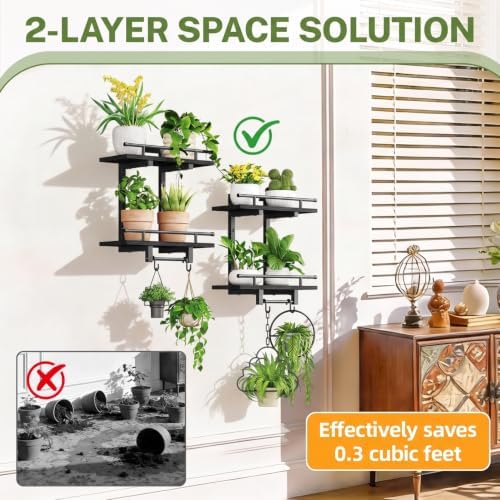 iDavosic.ly Wall Plant Holder Set of 2, 2 Tier Indoor Display Shelf - Image 6