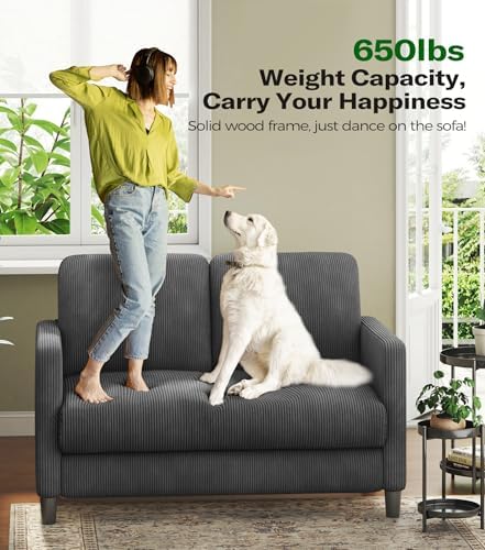 Welzona Loveseat, Corduroy Love Seat, Small Loveseat Sofa - Image 5