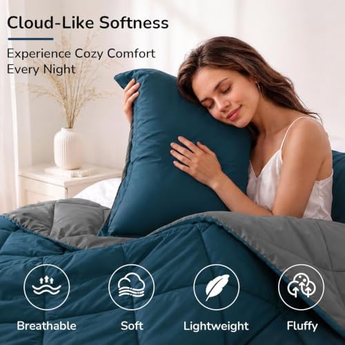 downluxe Queen Comforter Set - Image 3
