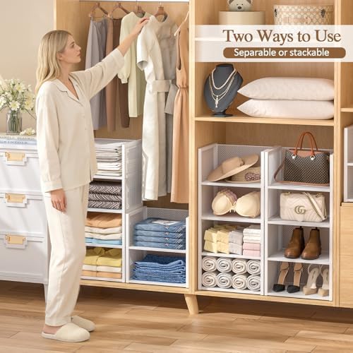 2-Tier Stackable Closet Organizers and Storage Basket, Wire Clothes Shelf - Image 5