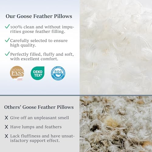 COZSINOOR Goose Feather Pillows Queen Size - Image 2