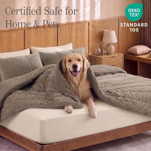 Chenille Queen Comforter Set-Cozy Warm Velvet Bedding Set - Image 5