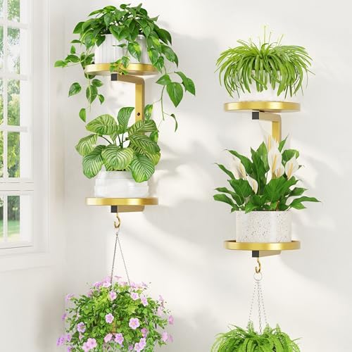 LASZOLA Plant Hanger Holder Window Shelf Wall Mounted Indoor by LASZOLA