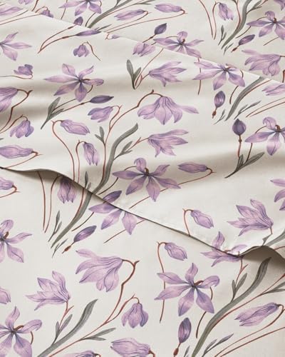 Queen 4 Piece Boho Botanical Floral Sheet Set by CGKUnlimited