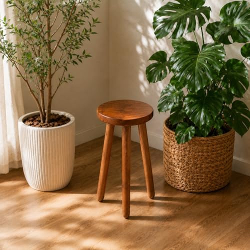 Teak Wood Plant Stand, Wood Accent Table - Image 6