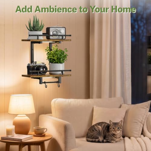 iDavosic.ly Wall Plant Holder - Image 7