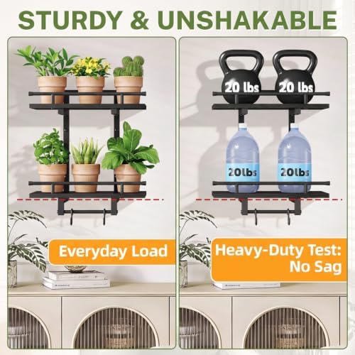 iDavosic.ly Wall Plant Holder Set of 2, 2 Tier Indoor Display Shelf - Image 3