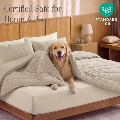 Chenille Full Size Comforter Sets-Cozy Warm Velvet Bedding Set - Image 5