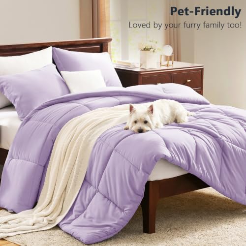 CozyLux King Size Comforter Set, 3-Piece Box-Stitched - Image 7