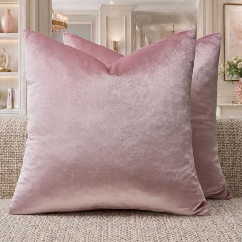 GIGIZAZA Sweet Lilac Velvet Throw Pillow Covers 22x22 Pack of 2 by GIGIZAZAFocusingonhomedecoration