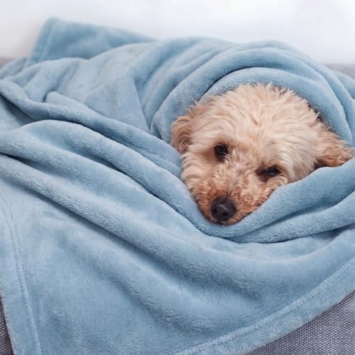Bedsure GentleSoft Fleece Blankets Twin Size Light Blue - Image 3