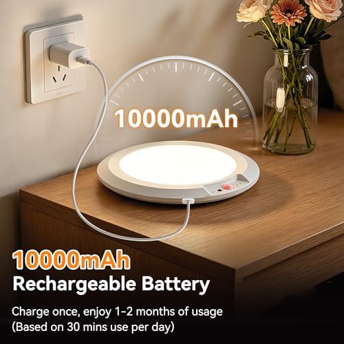 10000mAh Rechargeable Ceiling Light, Battery Operated Motion Sensor Closet Light - Image 2