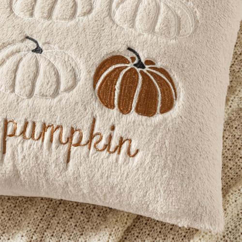 MIULEE Fall Pumpkin Pillow Covers 20x20 Beige Fall Decor - Image 2
