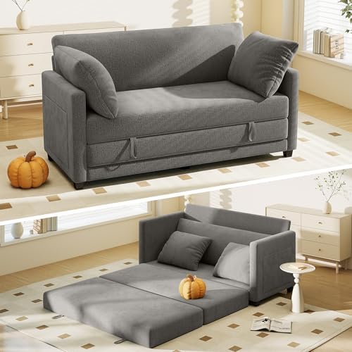 Myroyalsit 65" Convertible Loveseat Sofa Bed, 2-in-1 Folding Sofa Bed by Myroyalsit
