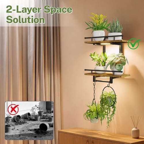 iDavosic.ly Wall Plant Holder - Image 5