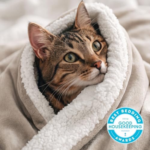 Bedsure GentleSoft Sherpa Fleece Blanket Queen Size - Image 2