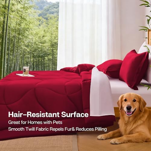 MR&HM All-Season Natural Cooling Comforter - Image 5