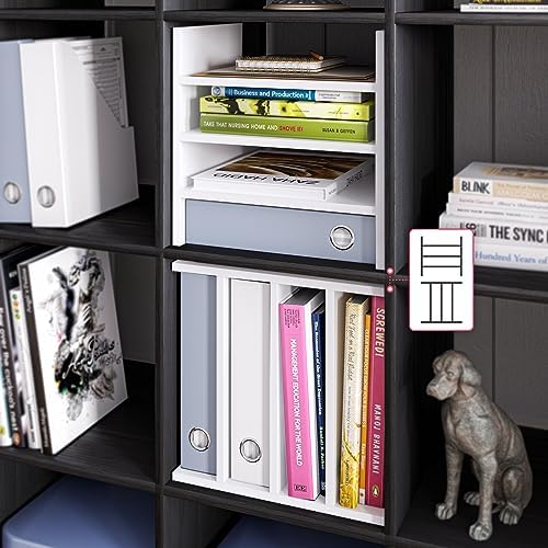 Ballucci 4-Tier Paper Sorter and File Organizer - Image 5