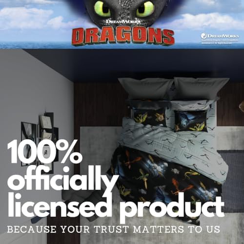 How to Train Your Dragon Kids Bedding Super Soft & Cozy Reversible Microfiber - Image 6